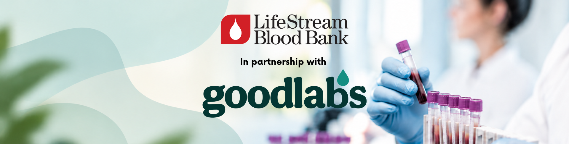 Goodlabs Webpage Banner